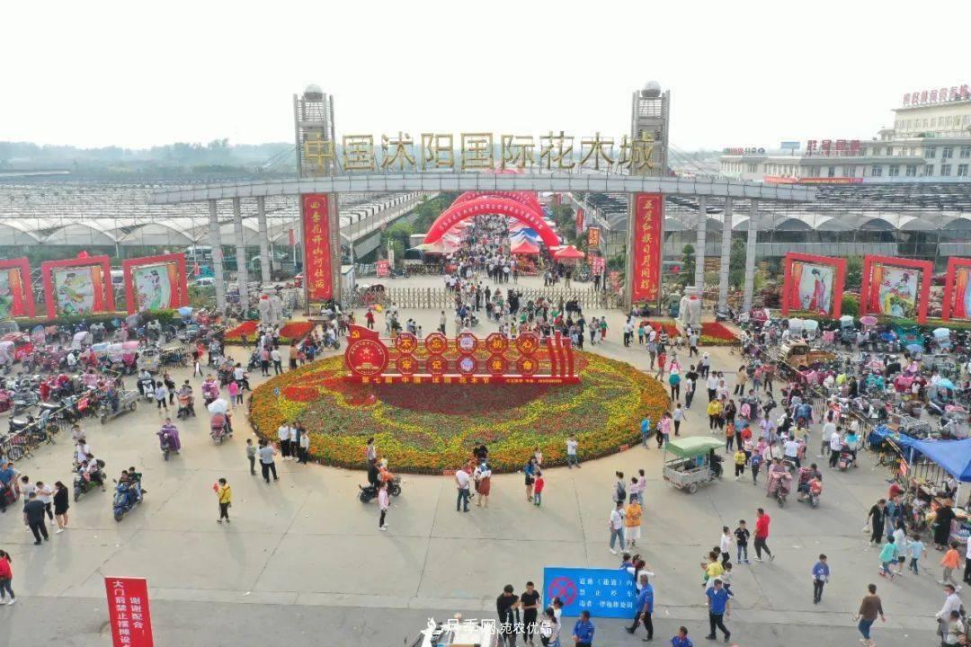 花木盛会，2020第八届中国•沭阳花木节将于9月29日开幕！诚邀您大驾光临！(图2)
