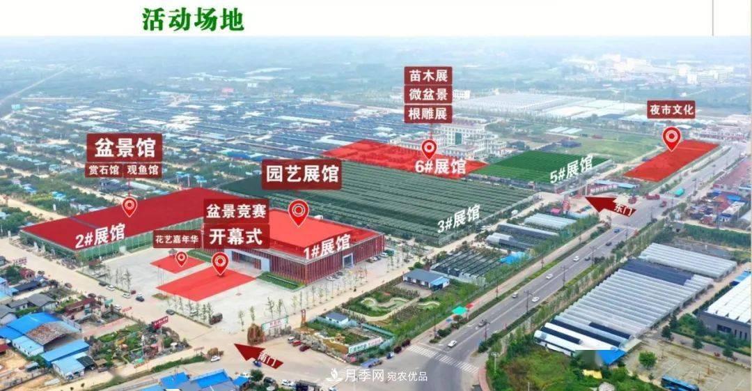 花木盛会，2020第八届中国•沭阳花木节将于9月29日开幕！诚邀您大驾光临！(图6)