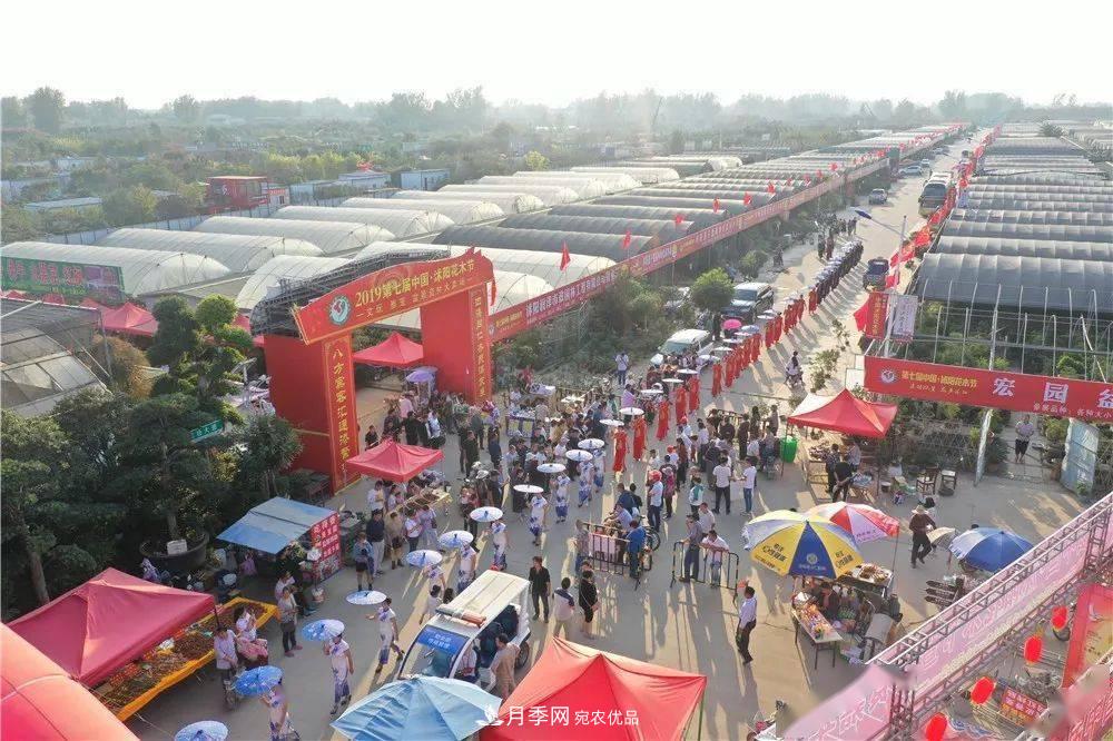 花木盛会，2020第八届中国•沭阳花木节将于9月29日开幕！诚邀您大驾光临！(图13)