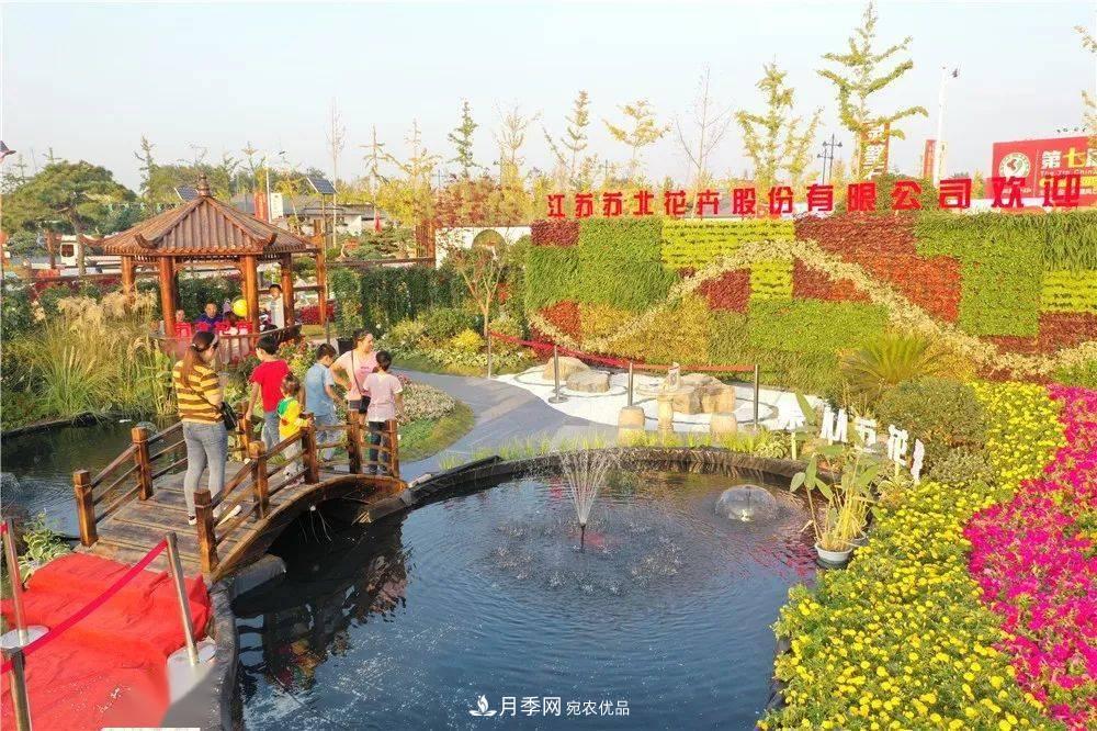花木盛会，2020第八届中国•沭阳花木节将于9月29日开幕！诚邀您大驾光临！(图14)