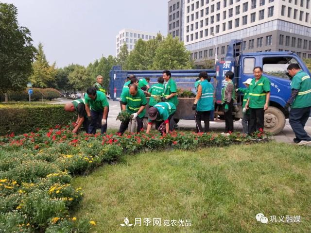美！6万盆景观花卉扮靓郑州巩义城区(图2)
