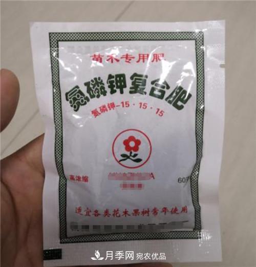 买月季花时赠送的小包肥料和生根粉是真是假？教你辨别(图1)