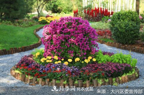 2020年北京市“职工技协杯”市花月季主题花园网络设计大赛及造园大赛收官(图1)