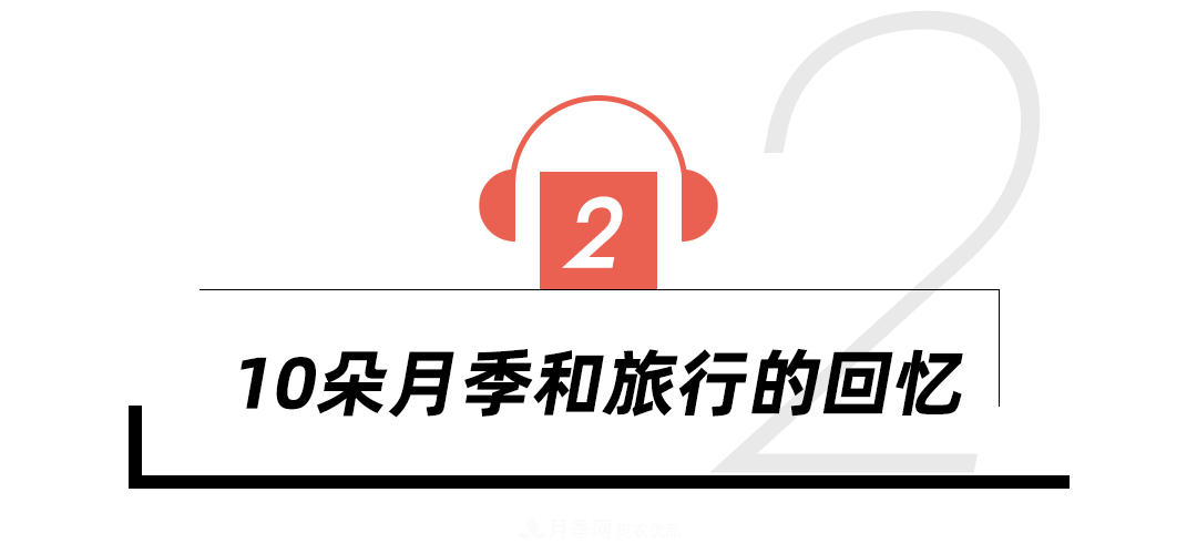 陈丹燕:不能旅行的日子,她开始与月季对话(图8) 陈丹燕:不能旅行的日子,她开始与月季对话(图8)
