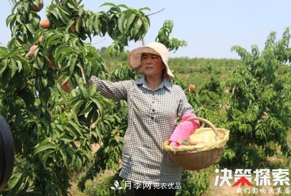 南阳市南召县南河店镇 培育绿色农业产业共享生态红利(图1)