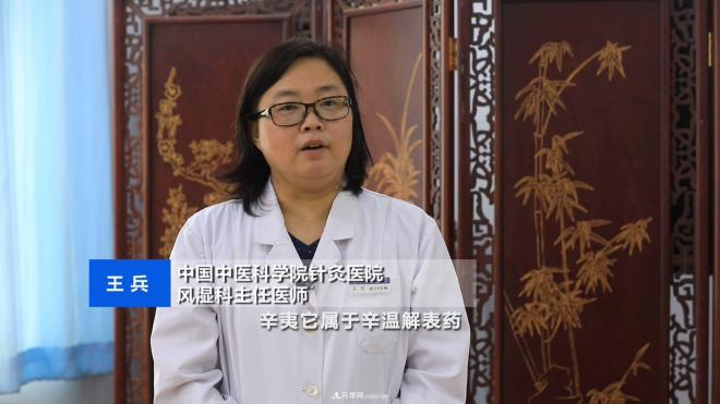 公园里种的玉兰也是一味药材,是真的吗?(图4) 公园里种的玉兰也是一味药材,是真的吗?(图4)