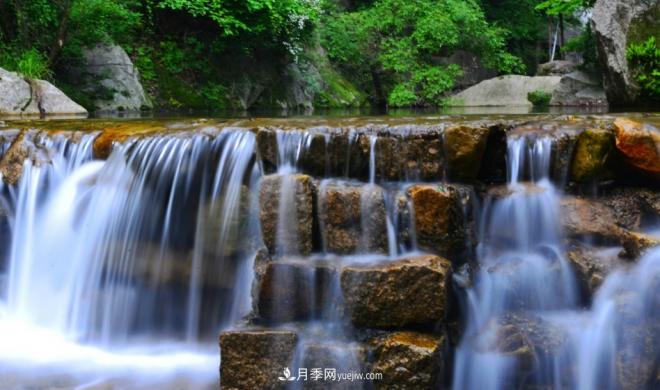 河南五个绿色“海洋”，在20度的森林中呼吸，让你流连忘返(图2)