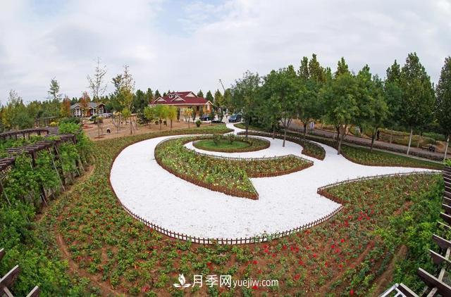 金三环公司荣获北京“职工技协杯” 月季市花造园大赛***佳组织奖(图1)