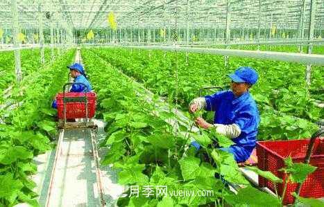 有机产品395个，南阳有机农业全国**是怎样炼成的？(图1)