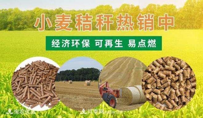 南阳小麦秸秆生物质燃料批发(图1)