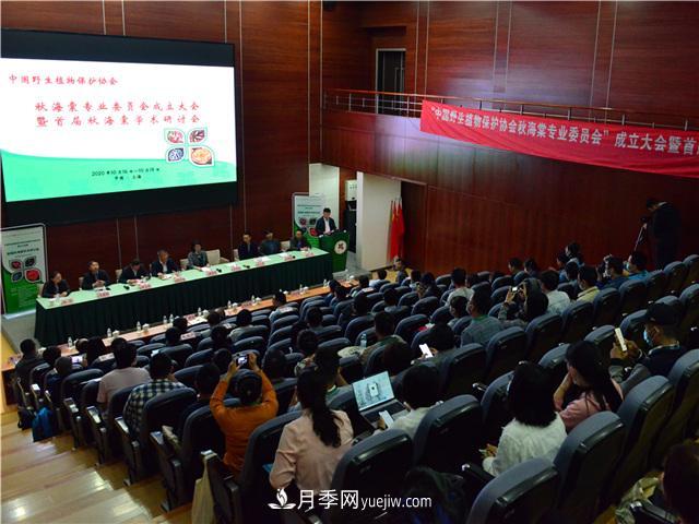 中国野生植物保护协会秋海棠专业委员会成立大会在上海召开(图2)