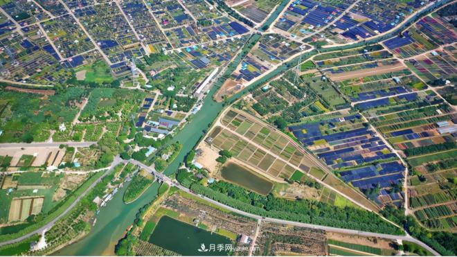 广东省中山市横栏镇，这个3万亩的花木之乡，亩均年产值竟达10万元(图8)