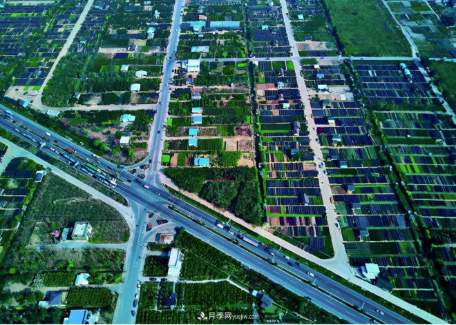 广东省中山市横栏镇，这个3万亩的花木之乡，亩均年产值竟达10万元(图10)