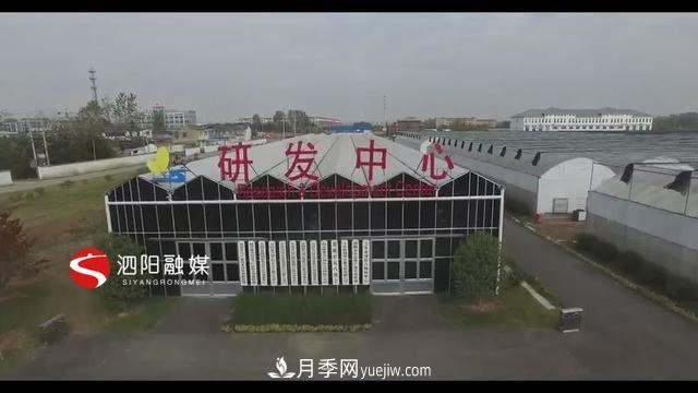 江苏泗阳新境界花卉基地：“花样”产业助力乡村振兴(图1)
