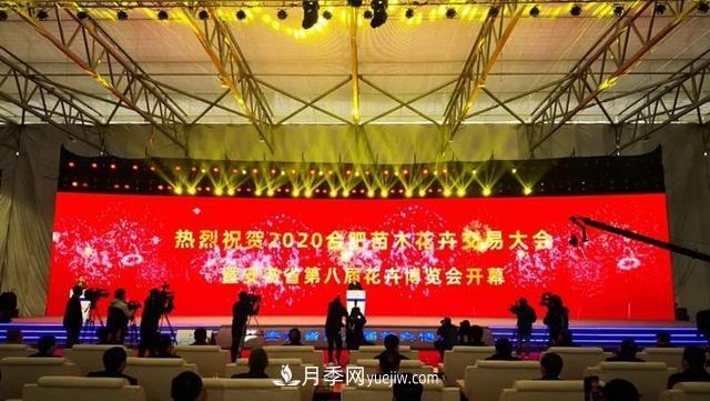 2020合肥苗木花卉交易大会 首次实现“云上办展”(图1)