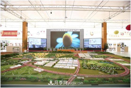 云南打造特色产业集群 开启花卉世界合作之窗(图5)