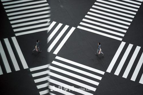 2020年歪果仁选中的年度词汇,其实都说了一件事(图3) 2020年歪果仁选中的年度词汇,其实都说了一件事(图3)