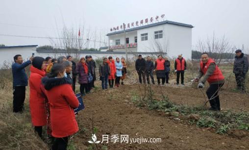 南阳市林科院林学苗木服务团赴社旗县开展送科技下乡系列活动(图1) 南阳市林科院林学苗木服务团赴社旗县开展送科技下乡系列活动(图1)