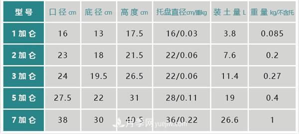 关于月季花盆的尺寸问题(图2)