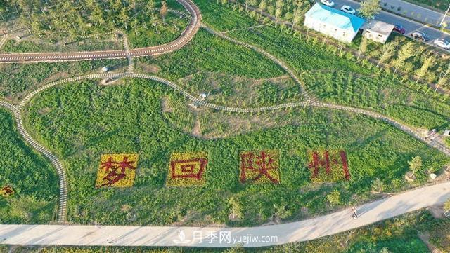 三门峡陕州区：打造田园综合体 美了乡村富了乡亲(图3)