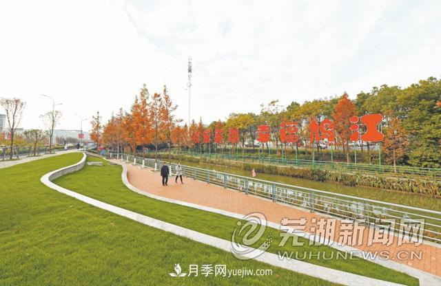 芜湖绿化提升打造优美景观(图1)