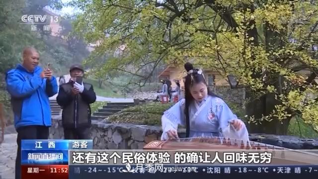 江西银杏树披金甲 还不快来云打卡(图1)