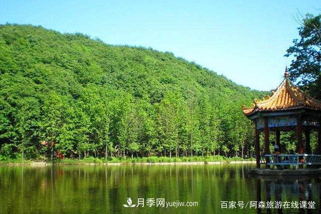 河南天池山森林公园，森林覆盖率98.57％，誉为洛阳“张家界”(图2)
