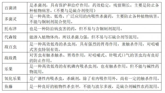 南阳园林绿化工作安排与实施(图2)