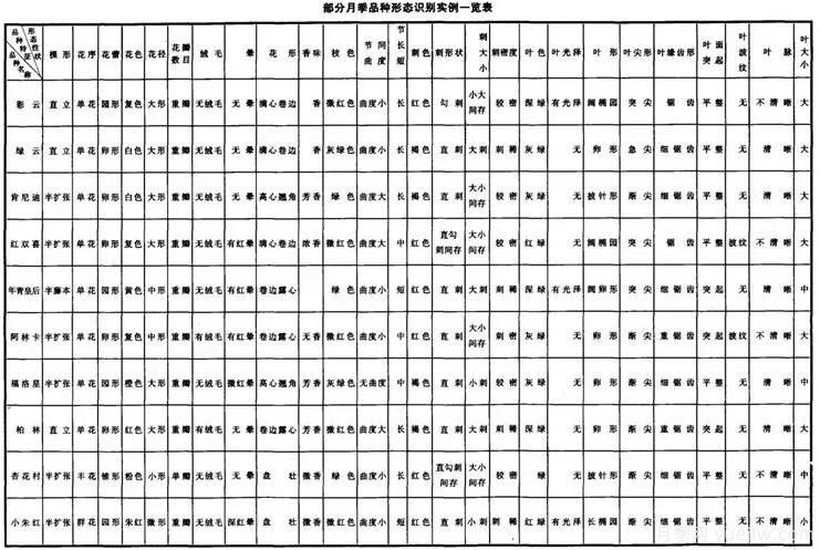 如何快速识别月季品种？(图1)