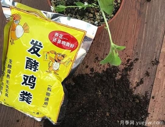 花卉绿植常用三大花肥分析，有机肥、无机肥、发酵各种粪(图1)