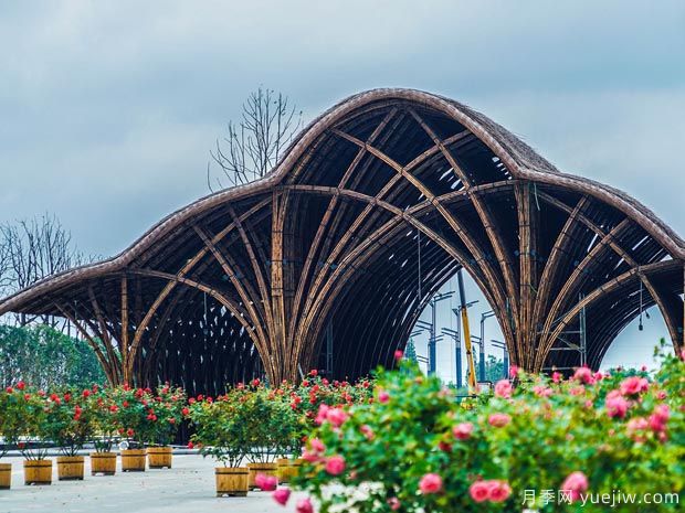 德阳月季市花文化和景观图集(图3)