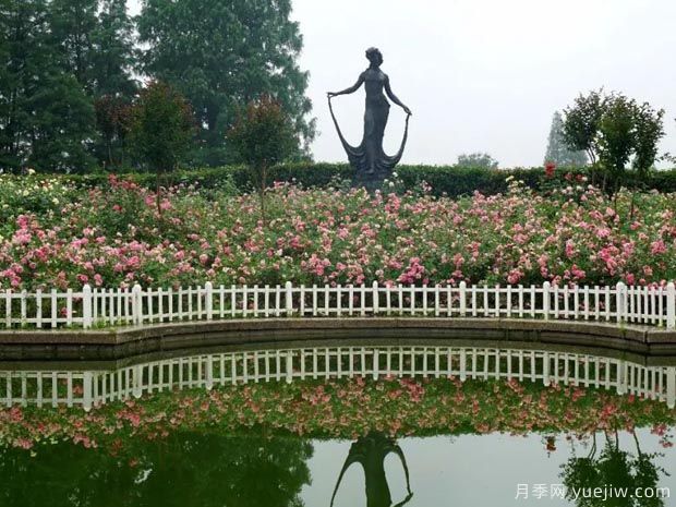 景观杭州花圃3 (3).jpg