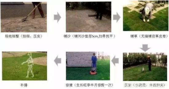 ***全常用草坪品种、优点缺点和施工要点(图12)