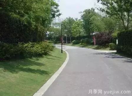 ***全常用草坪品种、优点缺点和施工要点(图16)