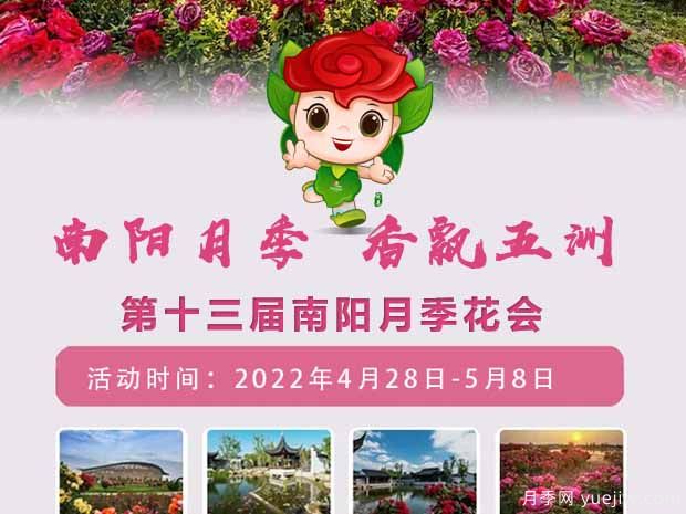 第十三届南阳月季花会于2022年4月28日至5月8日举办(图1)