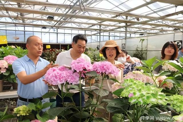 陕西省花卉产业创新发展论坛举行，培育陕花地域品牌(图1)