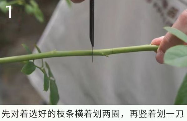 1副本.jpg