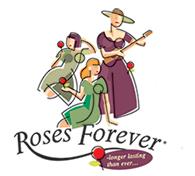 月季育种家：丹麦Rosa ApS月季苗圃(玫瑰永远Roses Forever)(图1)