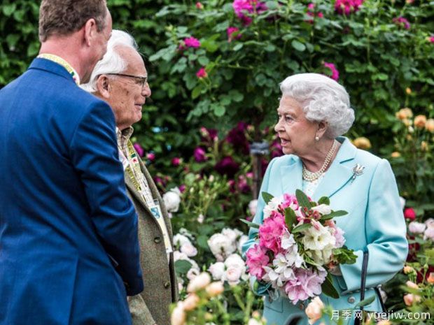 英国月季之父大卫奥斯汀的月季花园 ***美的月季都在这里(图3)