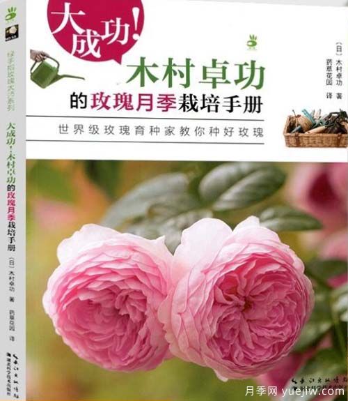 月季图书：木村卓功《大成功!木村卓功的玫瑰月季栽培手册 》(图1)