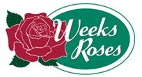 月季育种家：美国威克斯月季公司(Weeks Roses)(图1)