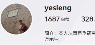 月季自媒体：yesleng(图1)