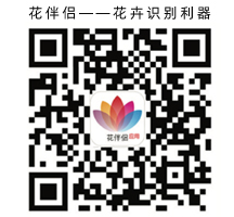 花伴侣app，花卉识别，花草树木呈名(图1)