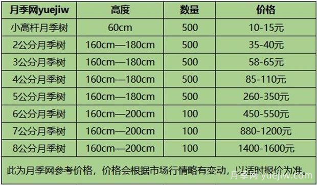 南阳月季树苗圃_月季树价格_月季树多少钱一株(图1)