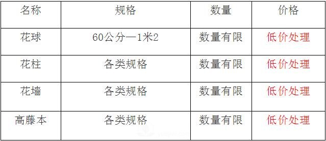 清地在即，部分造型月季品类月季价格短时间走低(图1)