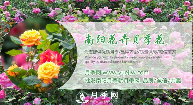花木经济学的七条规律(图1)