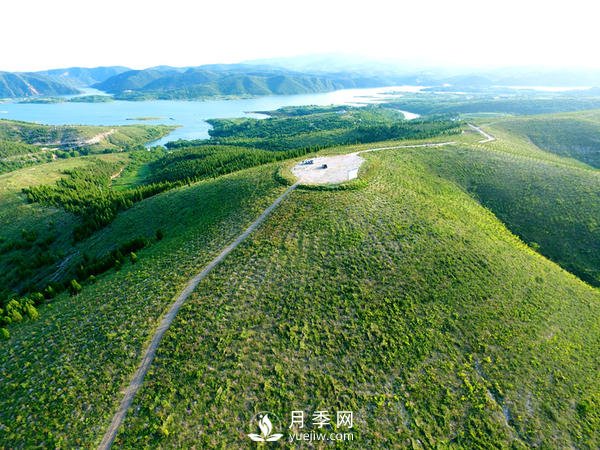 河南石漠化土地集中在南阳，淅川石漠化面积占南阳85%(图1)