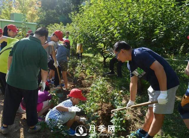 北京石景山 月季花开惹人醉(图6)