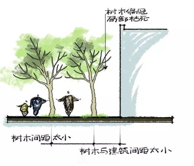 移植苗木终年皆可进行的秘诀(图1)