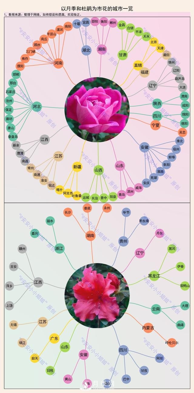 市树市花地图：月季、杜鹃、香樟、国槐(图1)